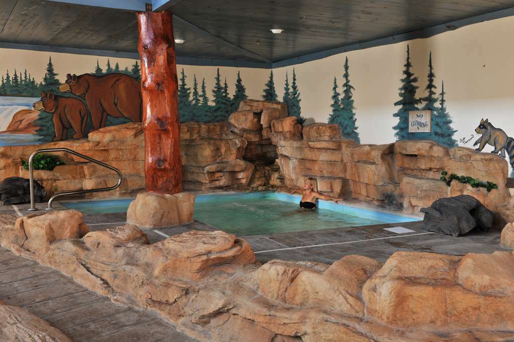 Stoney Creek Hotel St. Joseph Facilités photo